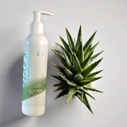 natural aloe vera gel from plant Aloe Vera Gel